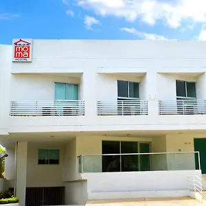 https://hostal-casa-moma.cartagena-hotels.org
